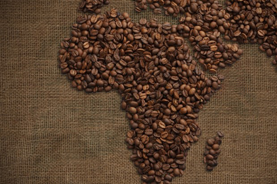 UNDP Partners with Ugandan Universities and Coffee Hubs to Boost Coffee Value Addition