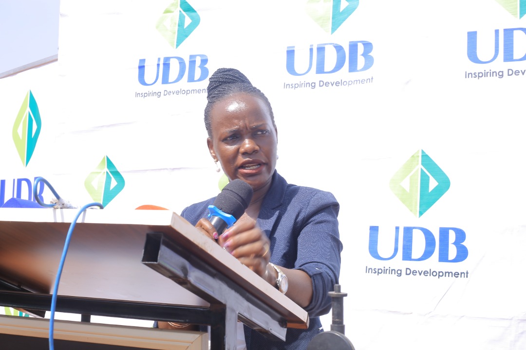 African dev’t finance institutions to benchmark with UDB
