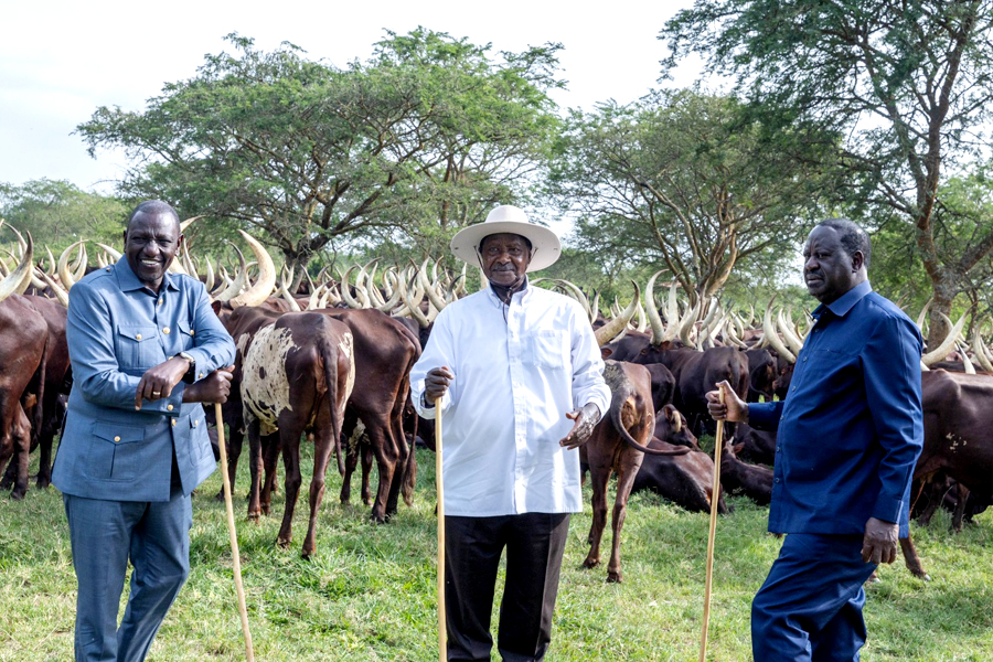 Odinga not a target worker, he's good for AU job - Museveni
