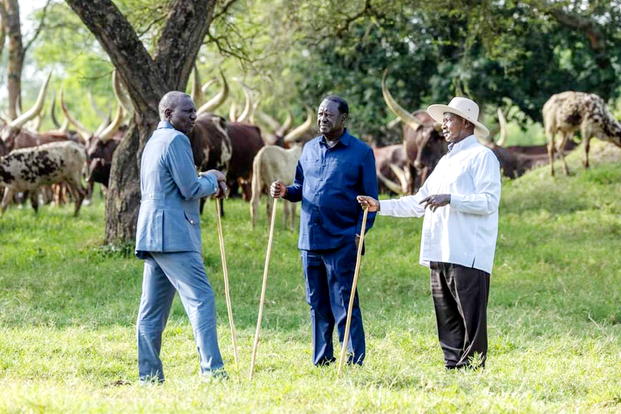 Kenyan political unity Sparks Debate Among Ugandan Leaders