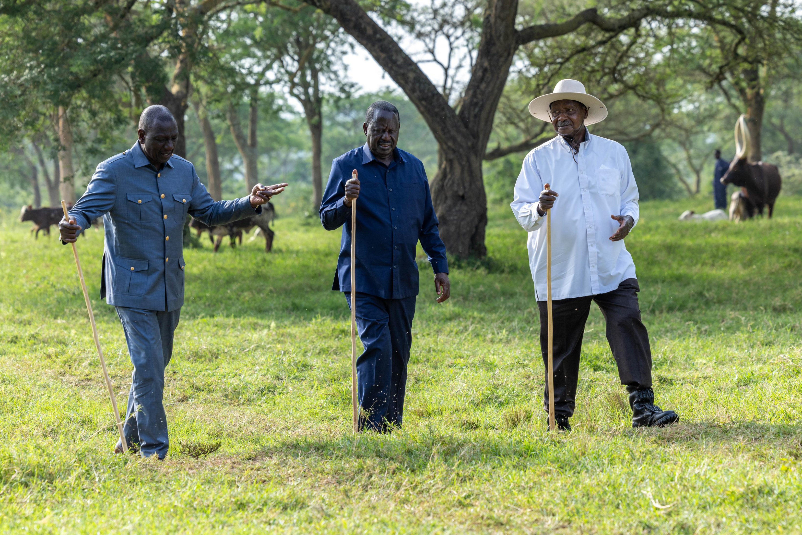 A Chance Encounter: Can Uganda Learn from Kenya's Political Truce?