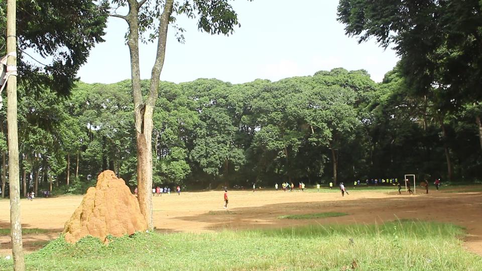 Suspected ghost firm moves to claim Entebbe's Kitubulu forest reserve