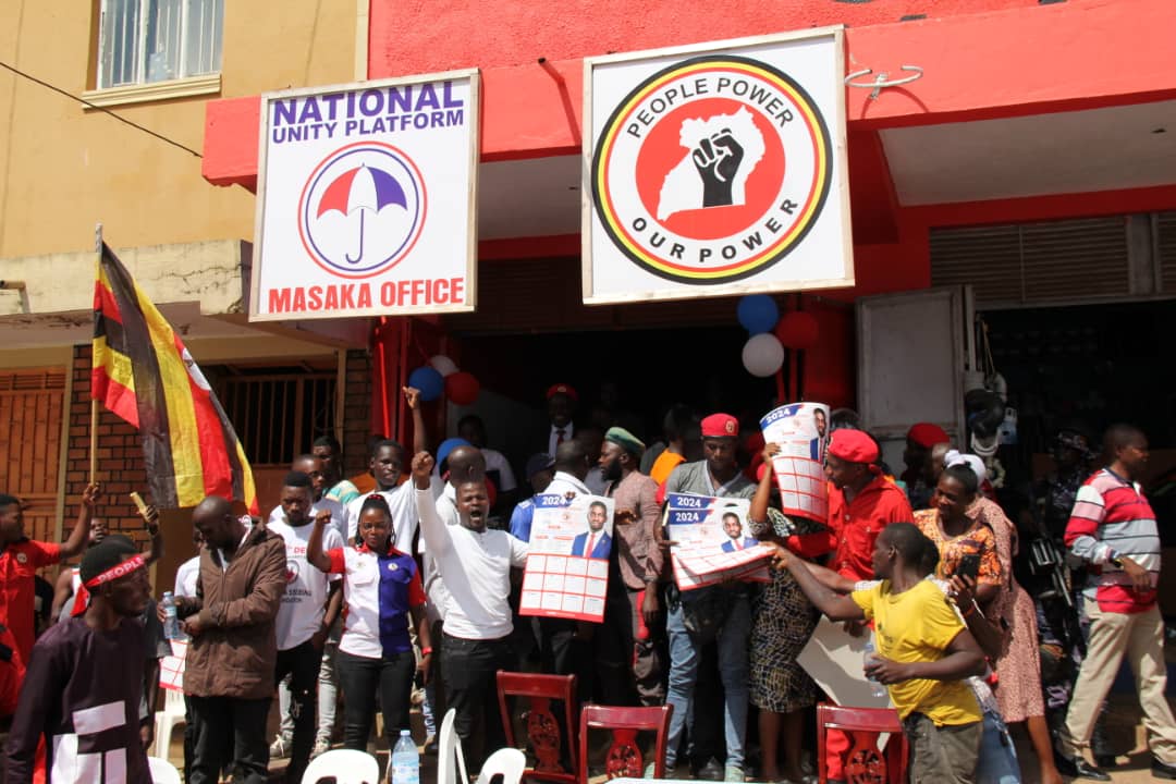 NUP clears air on claims of lack of party constitution