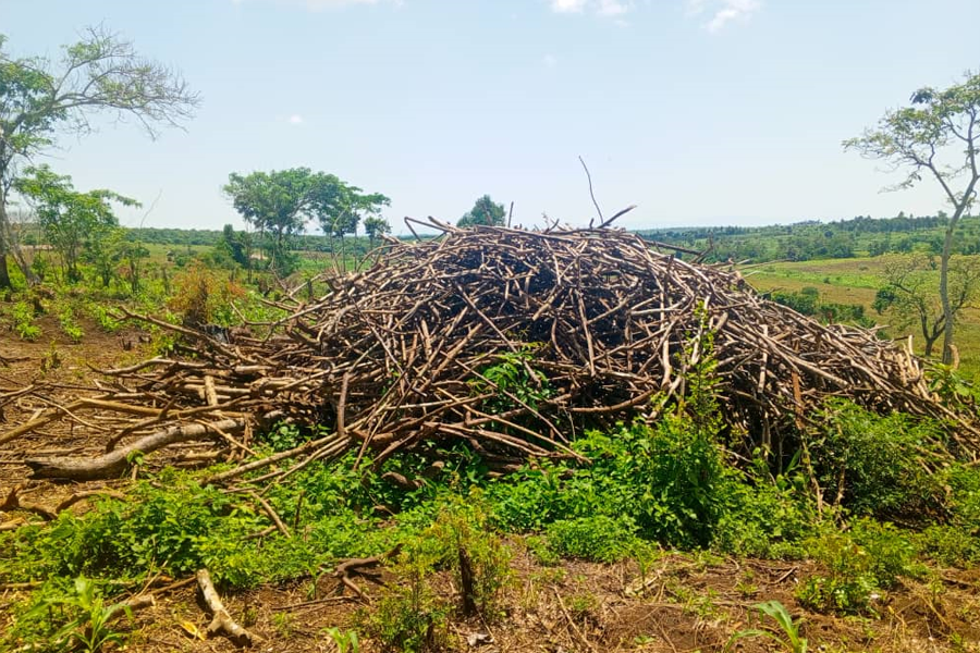 Africa celebrates World Earth Day with commitment to environmental stewardship