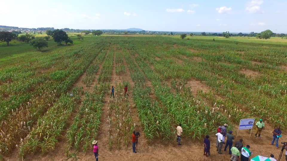 Broken Promises and Barren Fields: Serere Farmers Vent Frustration