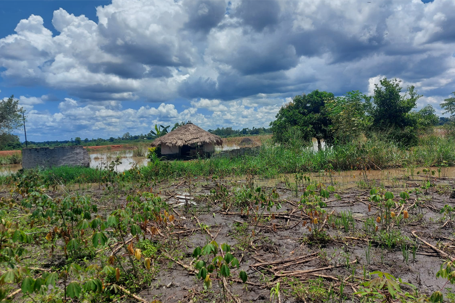 Climate Change, the Media Industry, and the Accountants We Never See