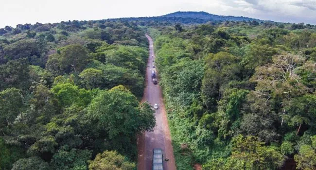 Preserving Biodiversity, a global necessity