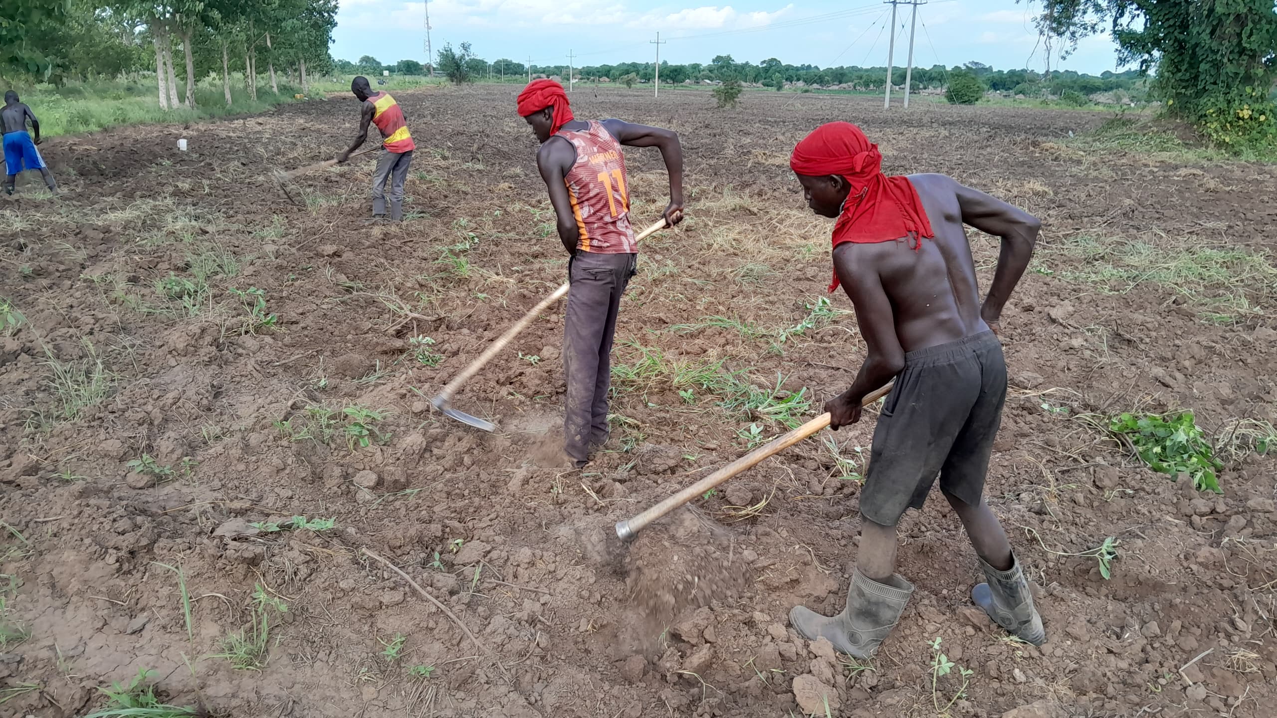 Drought deepens crisis for refugees in Yumbe's Bidibidi settlement