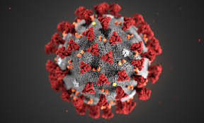 WHO : COVID-19 pandemic linked to rise in child obesity