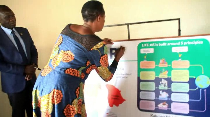 Govt launches campaign to reverse climate change effects in Kalungu
