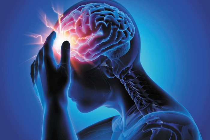 Optimizing Brain Health: A Pathway to Greater Well-Being, Says WHO