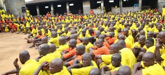 Researchers Recommend Continuous Administering Of PrEP Drugs To Inmates
