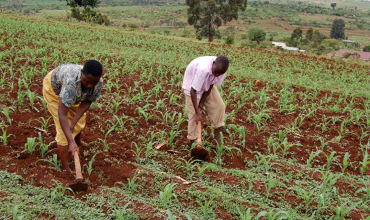 Is the world making any progress in building climate resilience and adaptation?