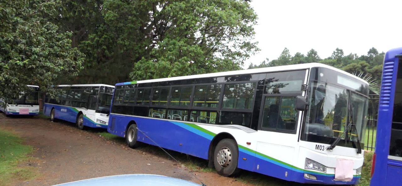 Entebbe mayor's bus project faces backlash