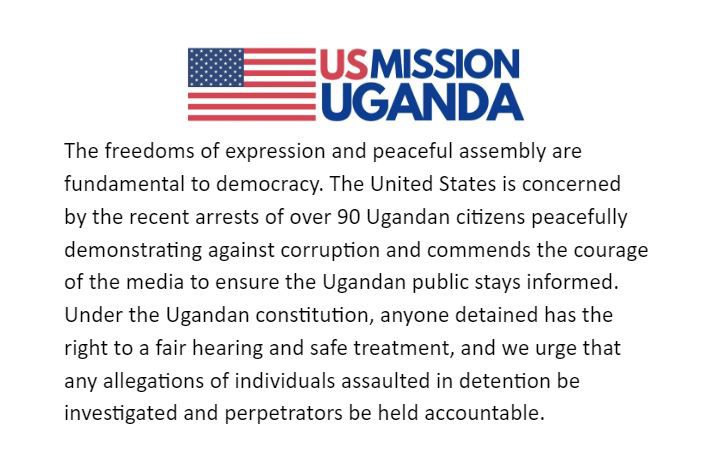 US mission condemns arrest of peaceful protesters