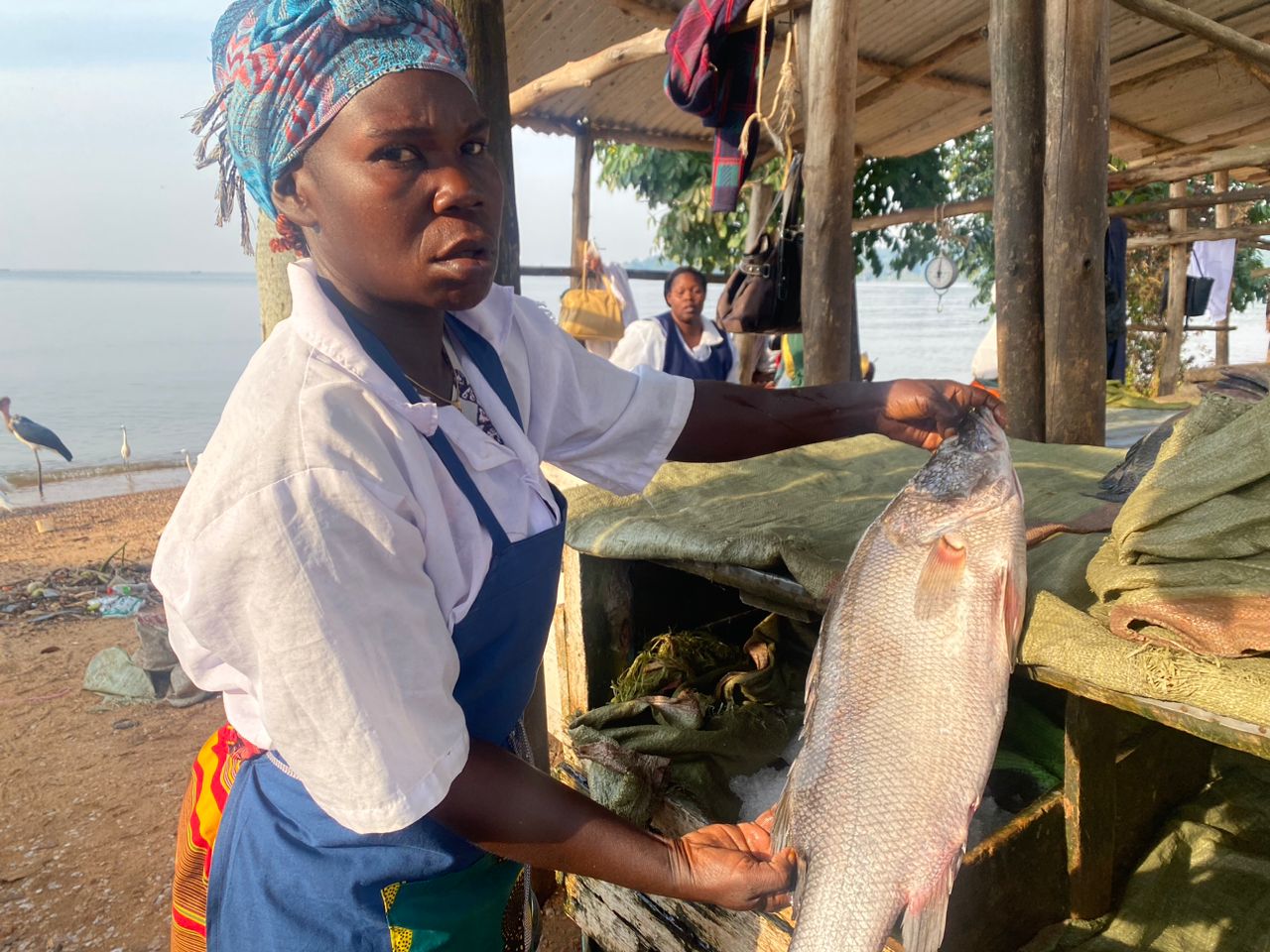 Lake Victoria crisis: Rising water levels devastate communities, fish population