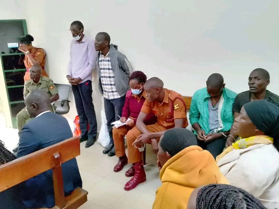 Journalists released on bail after nearly a month in jail