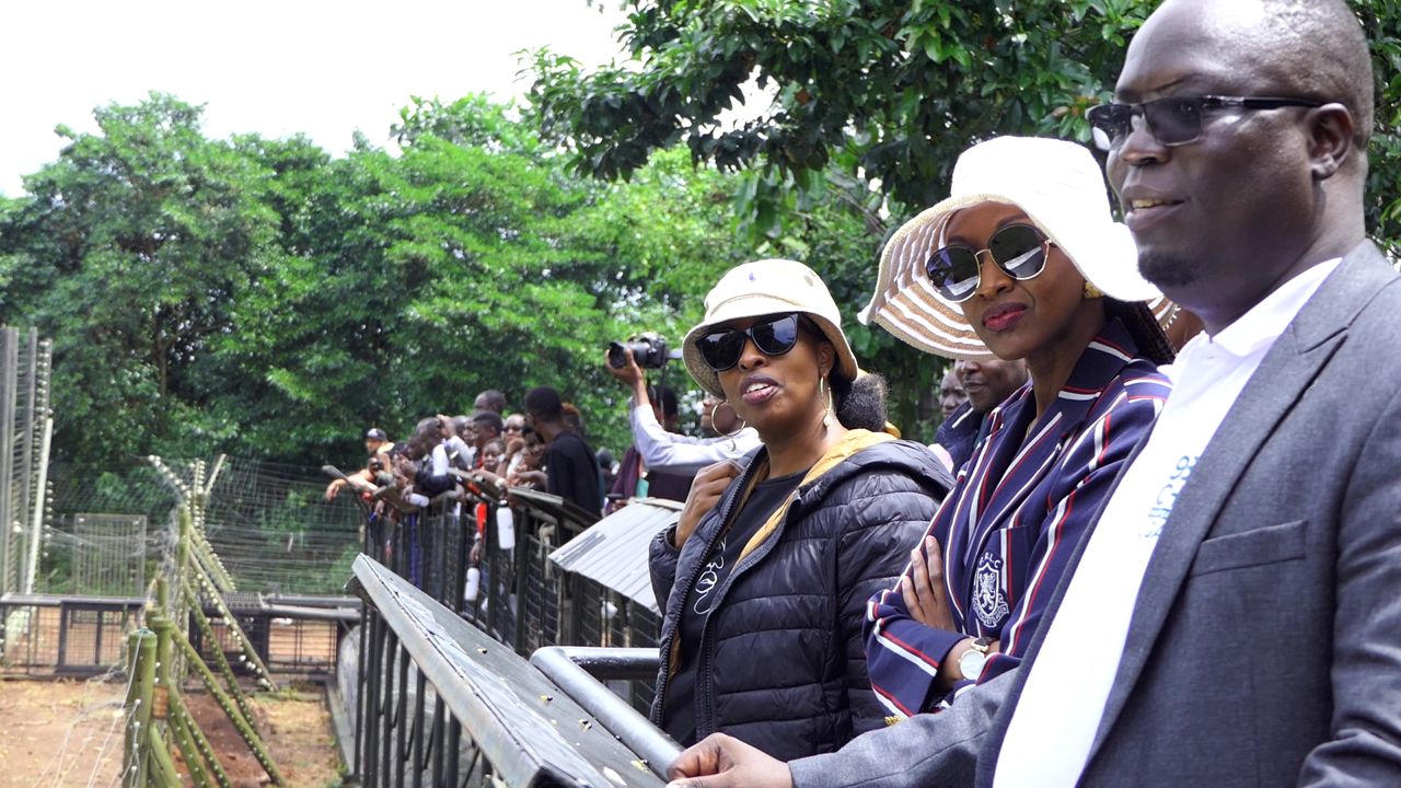 Diana Museveni named new patron of Ngamba chimpanzee sanctuary