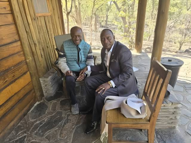 Namibia says 'unscrupulous' Kabaka subjects maligned its image