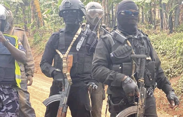 MPs raise concerns over hooded security officers