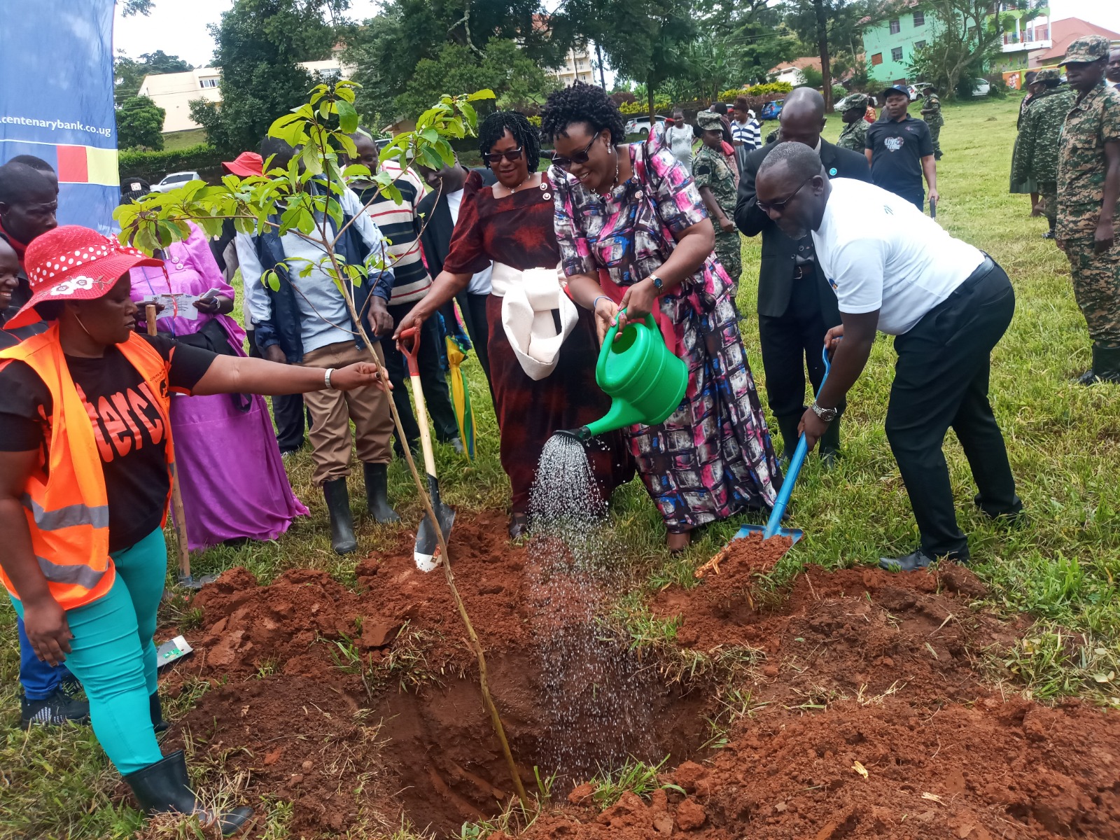 From Banking to Botany: Centenary Bank's 15 Million Tree Campaign