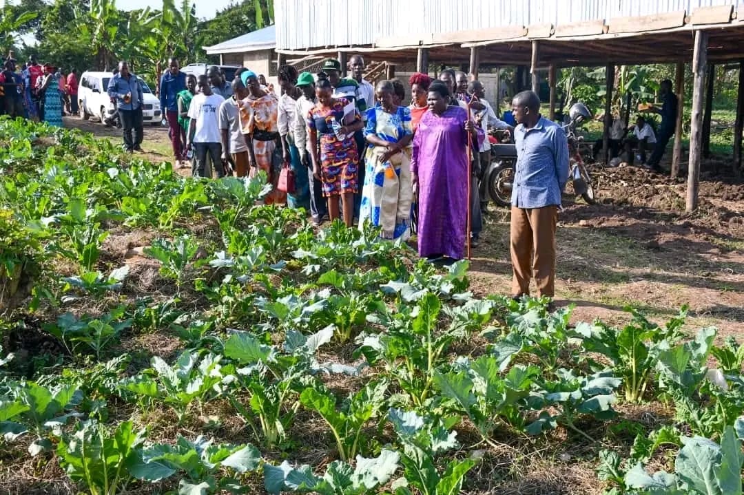 NRM’s Rose Namayanja launches model farm in Nakaseke