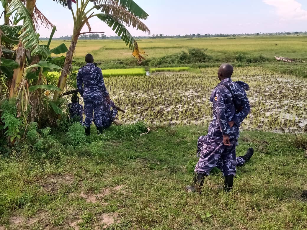 Police deploy in Tororo’s Namisuka wetland following deadly clashes over boundary dispute