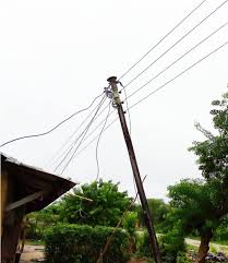 Primary Seven pupil electrocuted while fetching Bamboo sticks in Moyo district