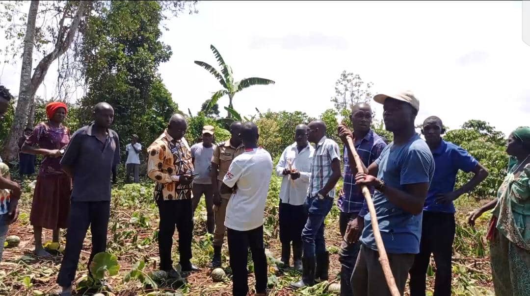 Tensions escalate in Masaka as residents threaten revenge against forest officer