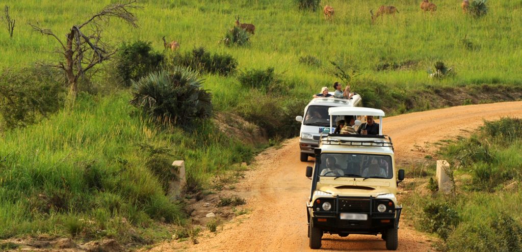 Rwanda's Stability Beneficial to Uganda's Tourism - Wekesa