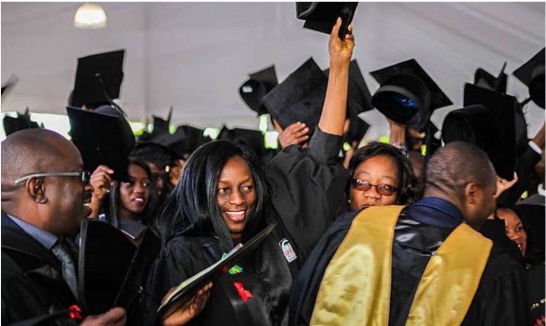 The job crisis: Graduates confront harsh realities in the labour market