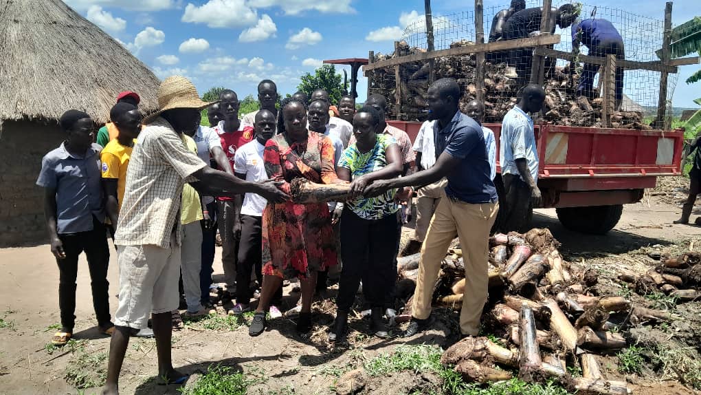 State House supports Adjumani farmers in coffee, banana farming to boost food security