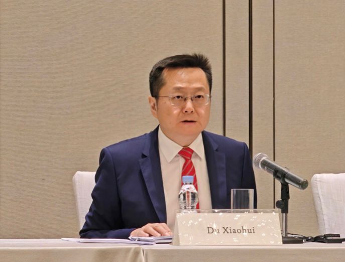 Forum on China-Africa Cooperation Commitee promotes execution of summit commitments