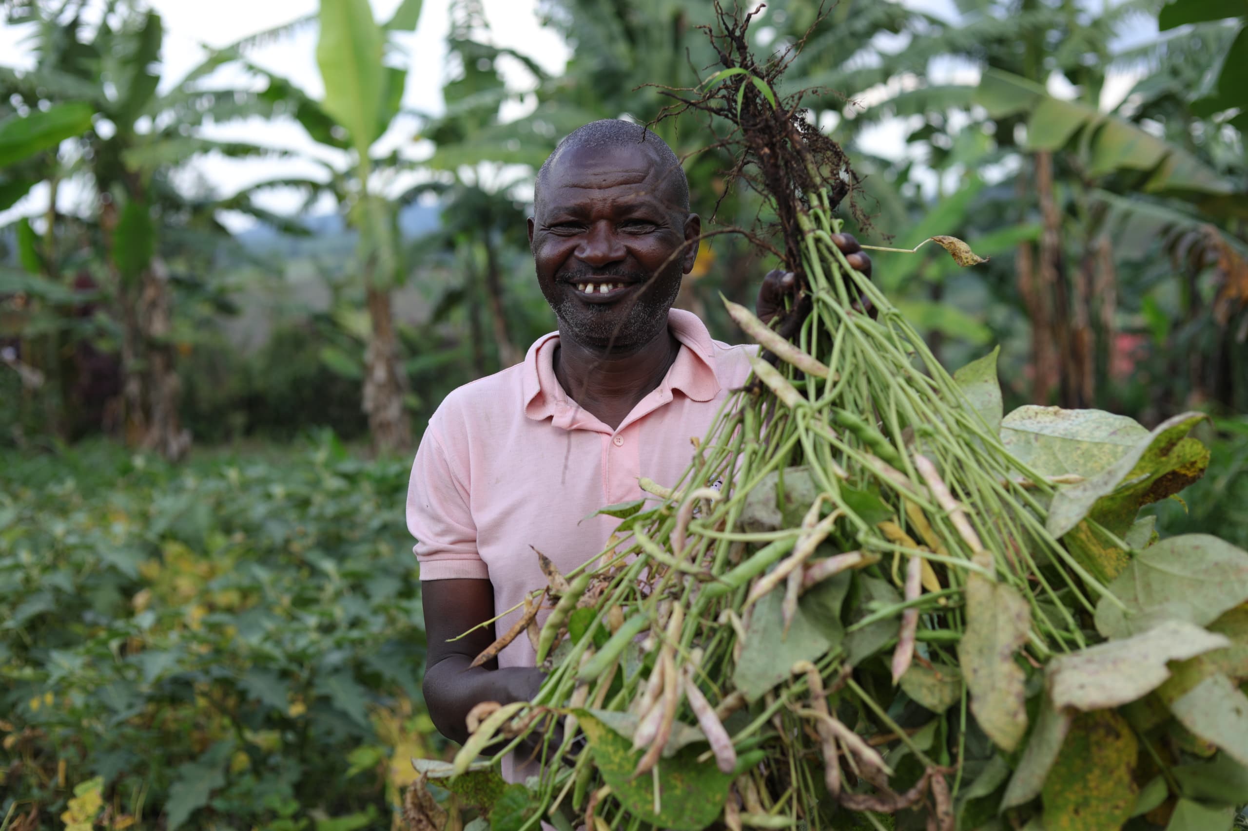 Emyooga: Baguma cashes in on vegetable farming