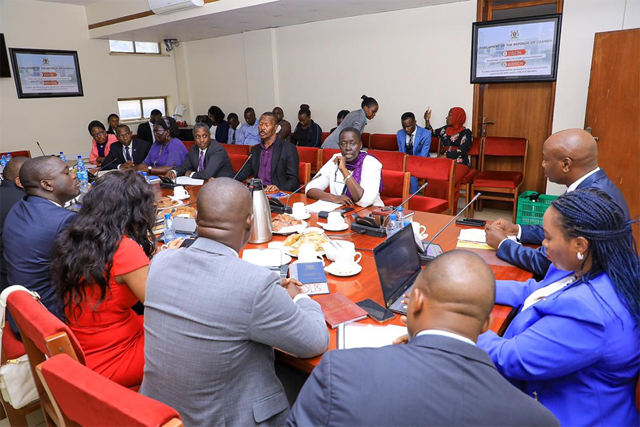 Opposition Set the Bin For Trashing Lumu Bill