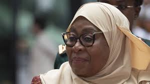 Tanzania news sites banned over animation deemed critical of president