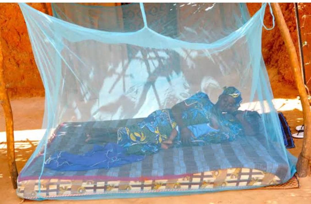 U.S. Backs Uganda’s Fight Against Malaria, Protecting Millions