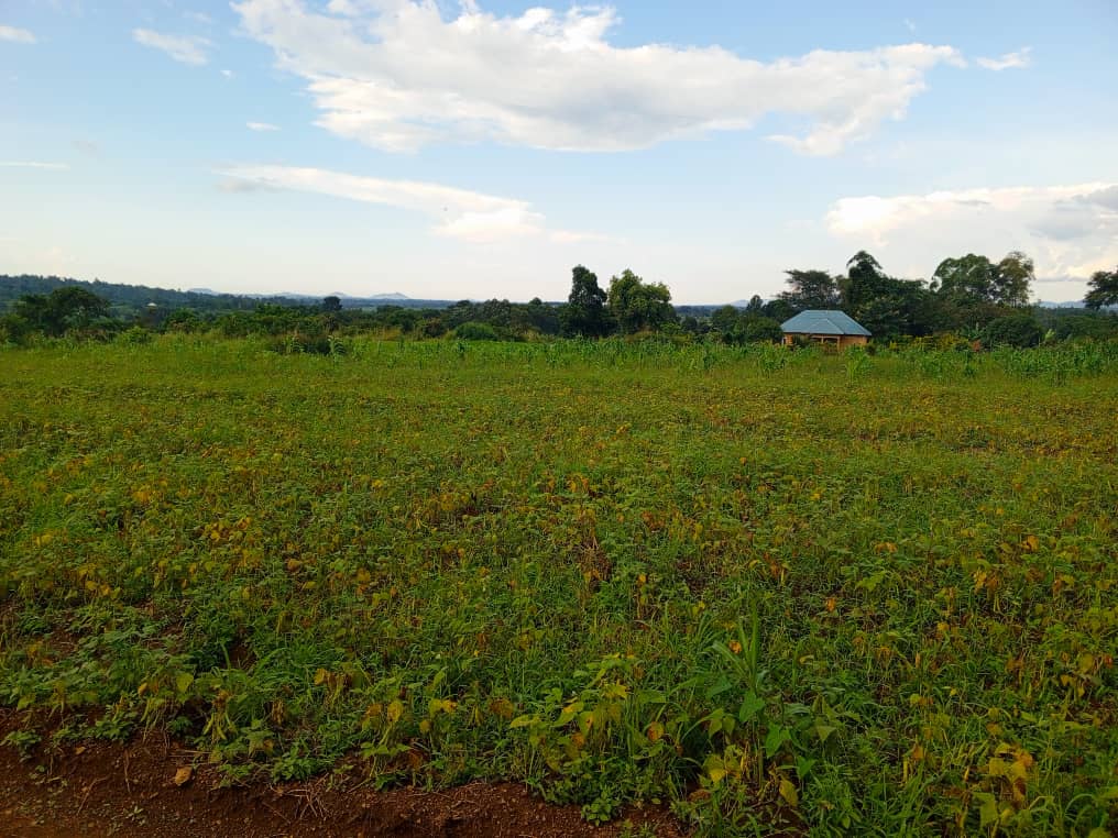 Land Grabbing and Health Sector Still Major Hurdles in Hoima, Says District Chairman