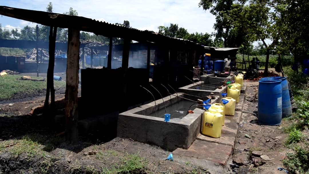 Alcohol Distillers Threaten Lira Wetlands With Molasses Waste