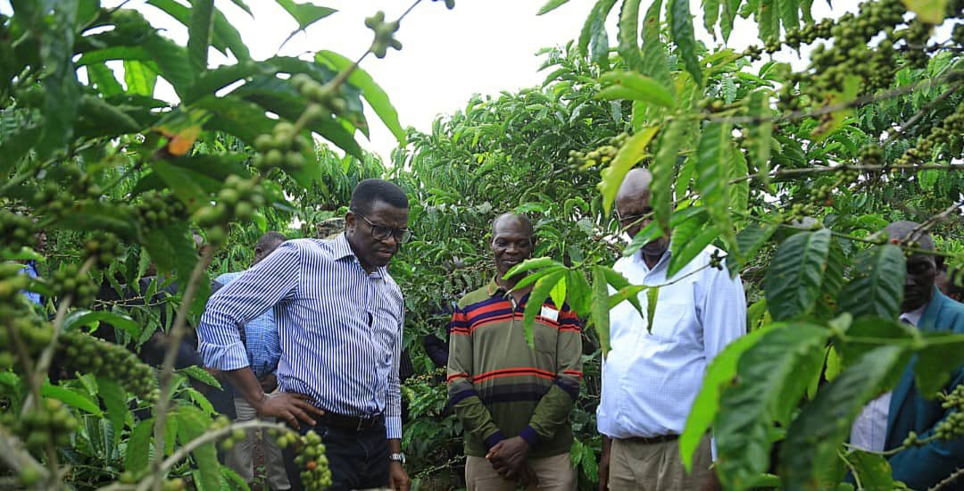 Katikkiro Mayiga Speaks Out To Protect Farmers Against UCDA Removal
