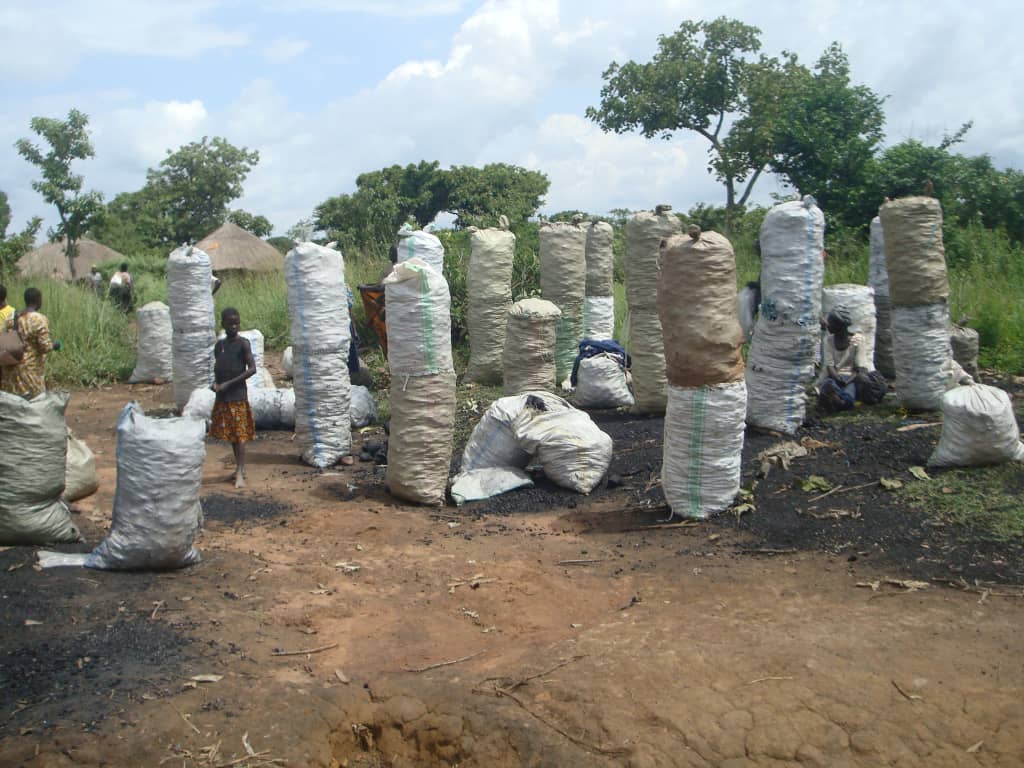 Charcoal dealers exploiting loopholes in NFA laws – UPDF