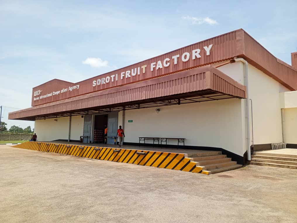 Soroti Fruit Factory Begins Individual Farmer Registration