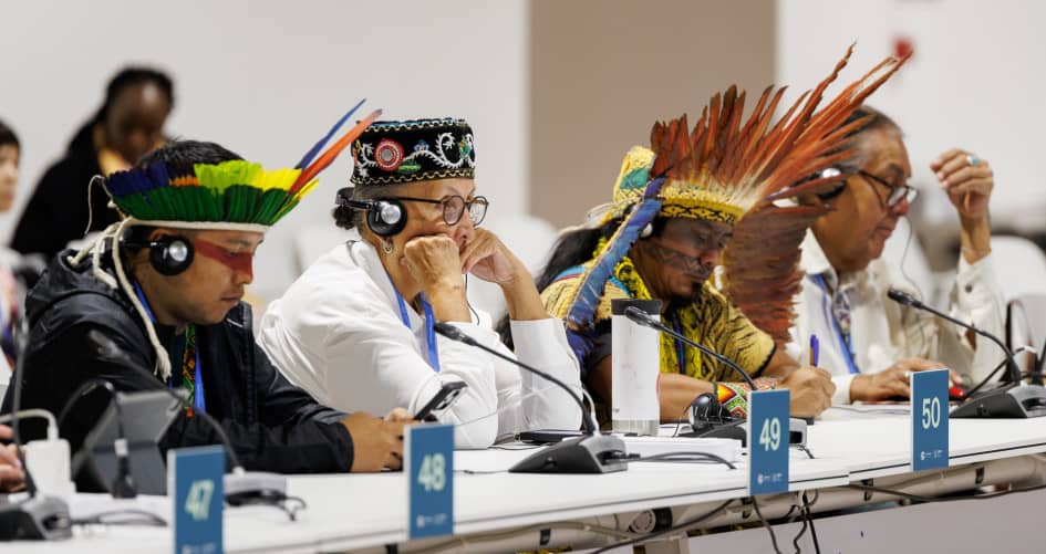 COP29 adopts Baku workplan to elevate voices of indigenous peoples, local communities in climate action