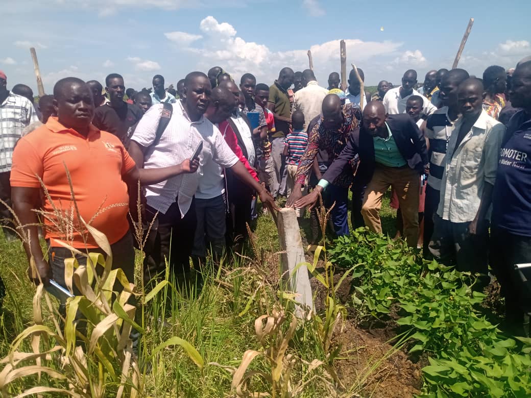 Kibuku District starts drive to restore wetlands