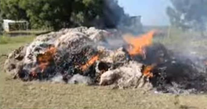 Fisheries Protection Unit destroy illegal gear worth shs137m in Buliisa