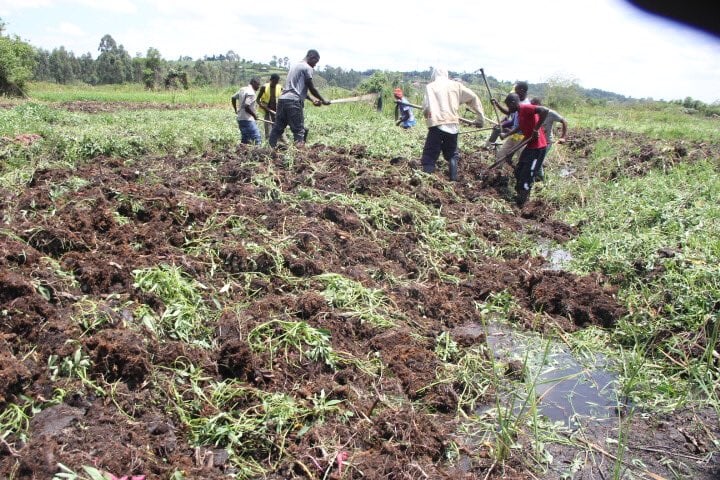 Encroachment Jeopardises Mbarara’s Vision of a Green City