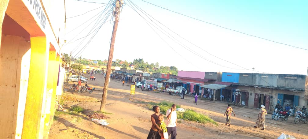 Kitagwenda Town Council to Plant 10,000 Trees to Boost Urban Environment