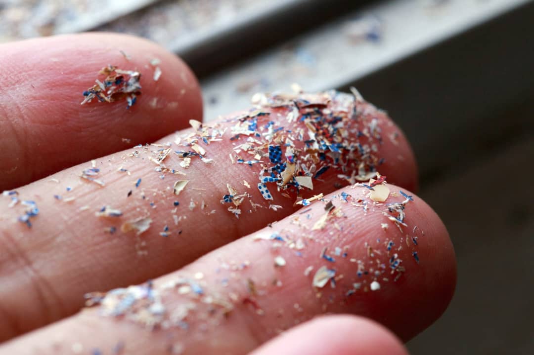 Pollution Series: Microplastics in Our Bodies