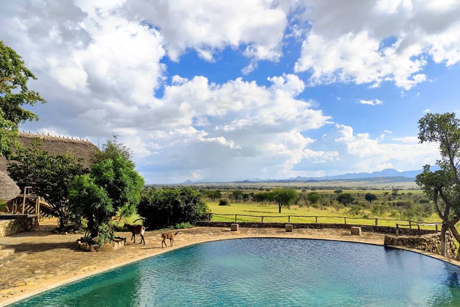 Paradise In the Wild: Inside Kidepo's Apoka Safari Lodge