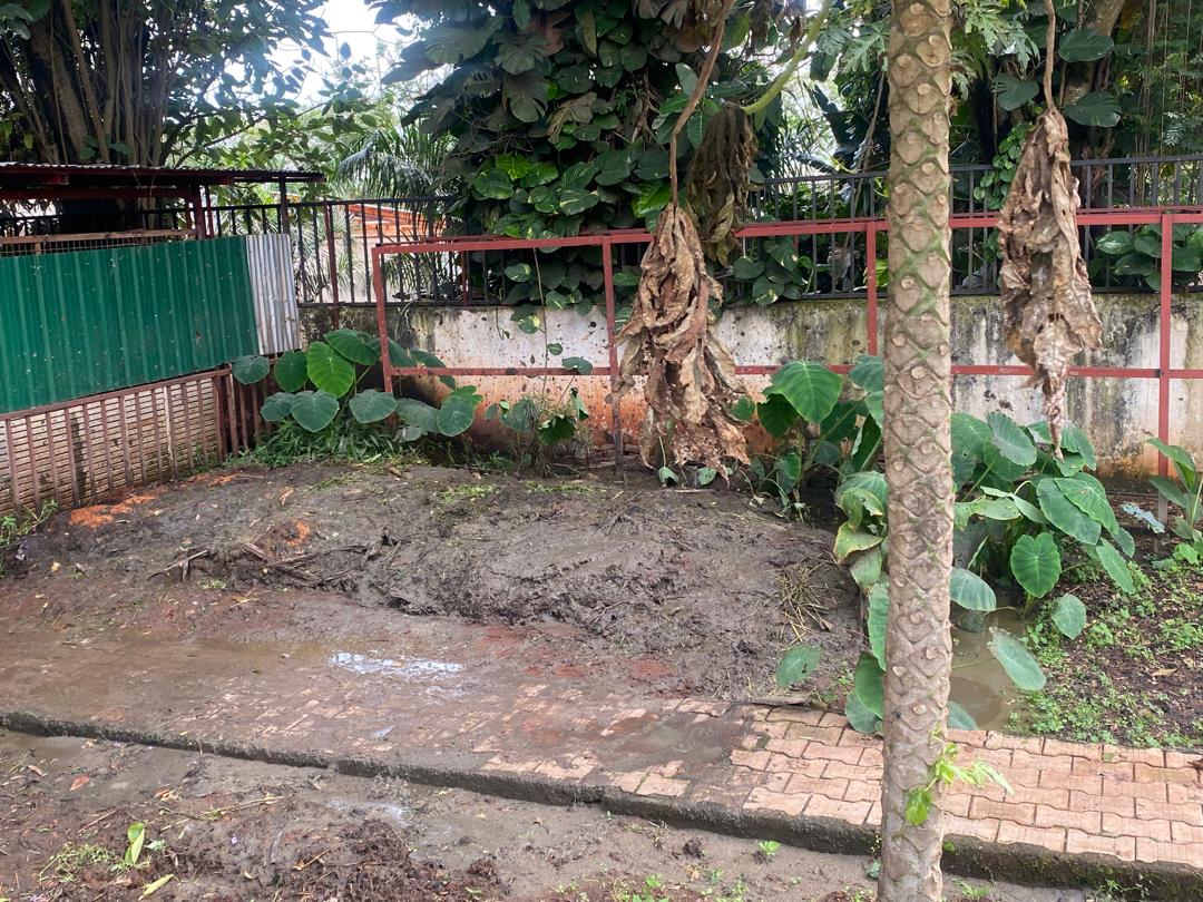 Closure Of Zero-Grazing Cattle Project in Kampala